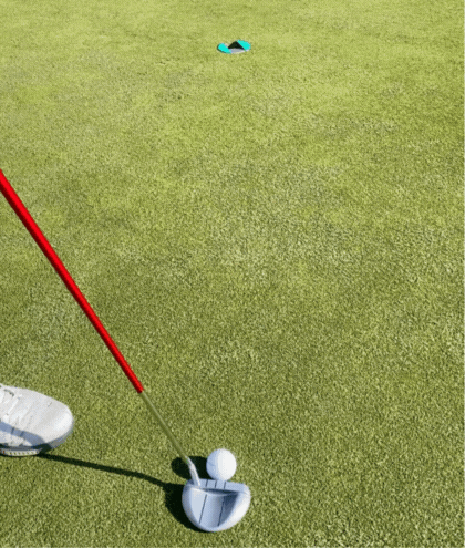 Visualization Training